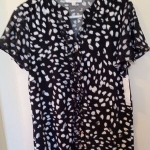 Brand New IVY RIDGE Ruffle-Front Button Down Blouse